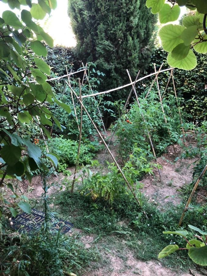 Beziers Appt Climatise Dans Residence Avec Piscine Exterior photo